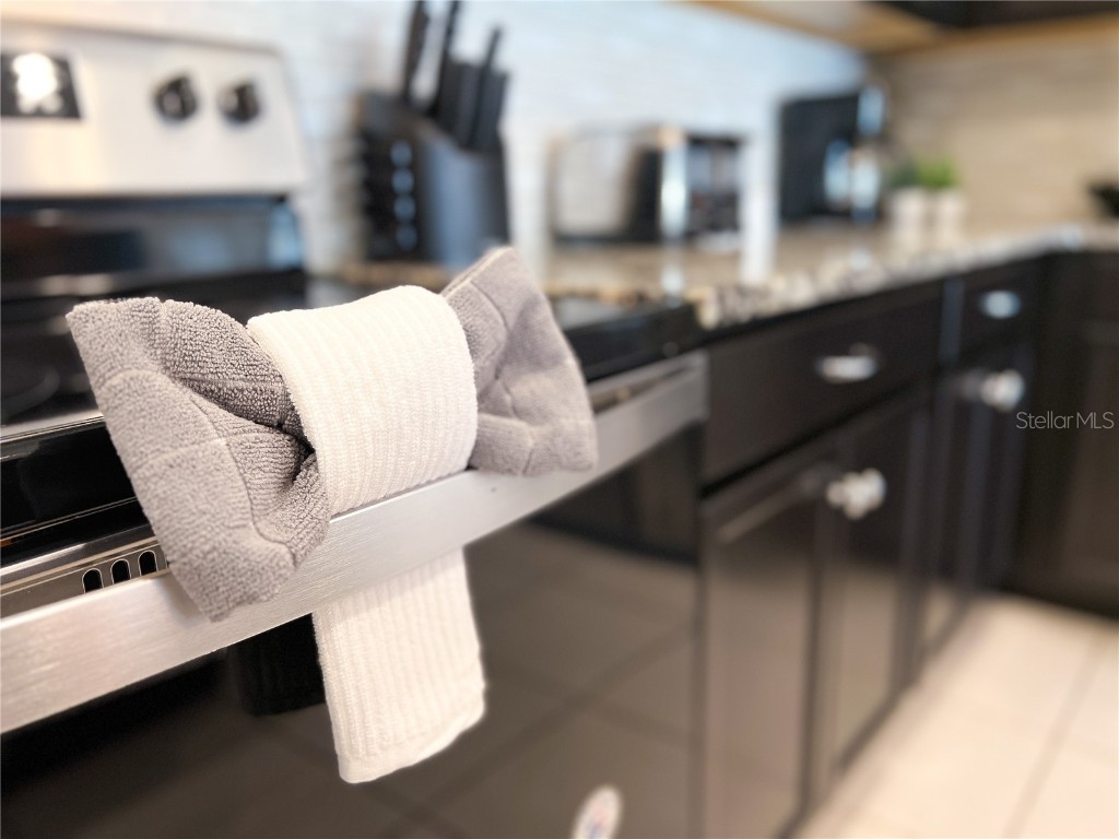 2442 Dubai Street Kissimmee FL 34747 O6363195 image20