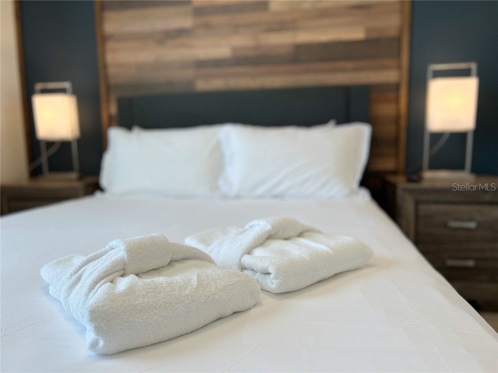 2442 Dubai Street Kissimmee FL 34747 O6363195 image7