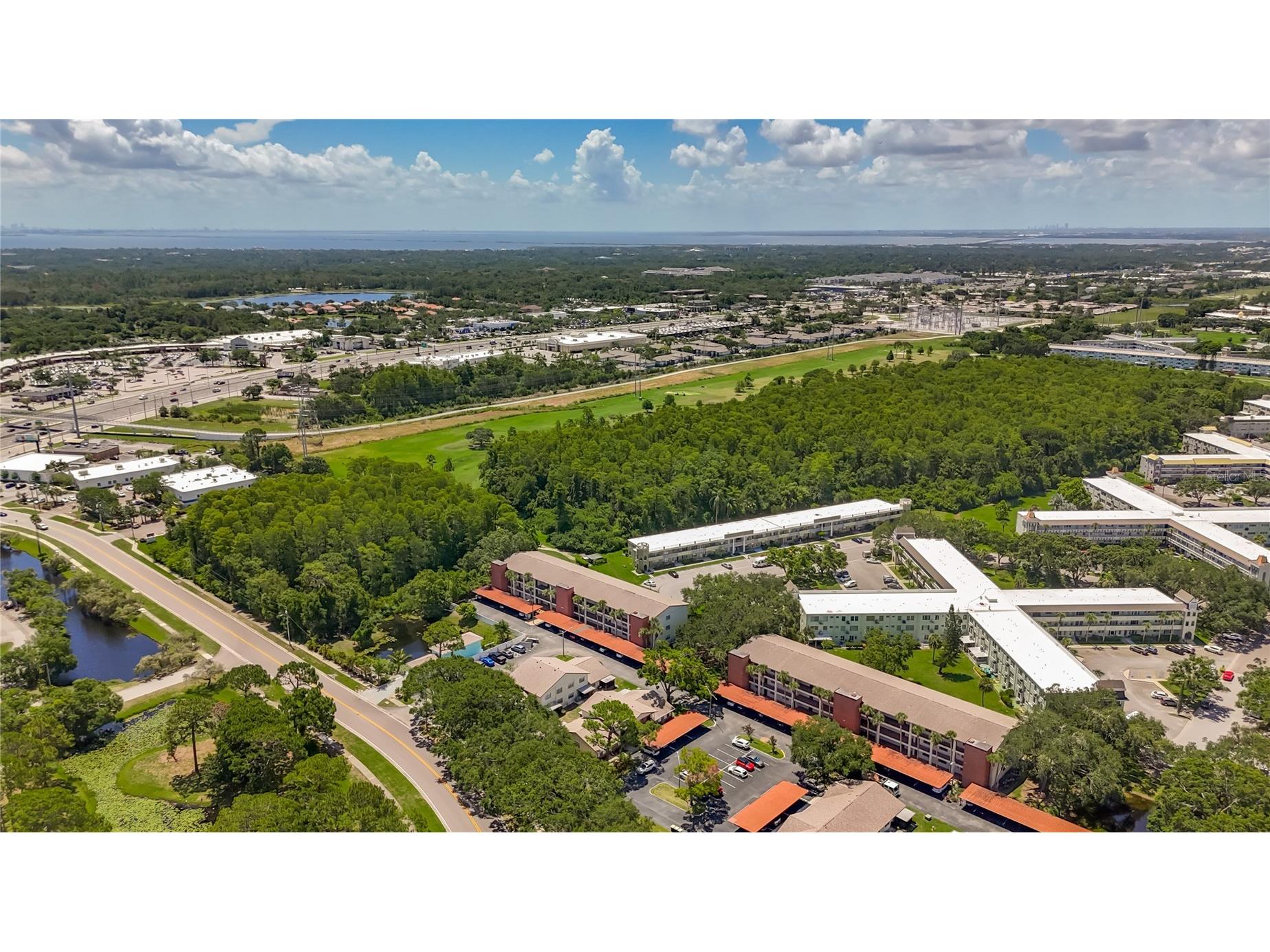 2442 Enterprise Road #6 Clearwater FL 33763 TB8501316 image47