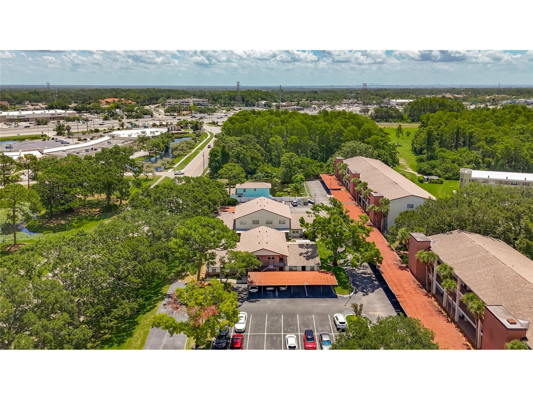 2442 Enterprise Road #6 Clearwater FL 33763 TB8501316 image49