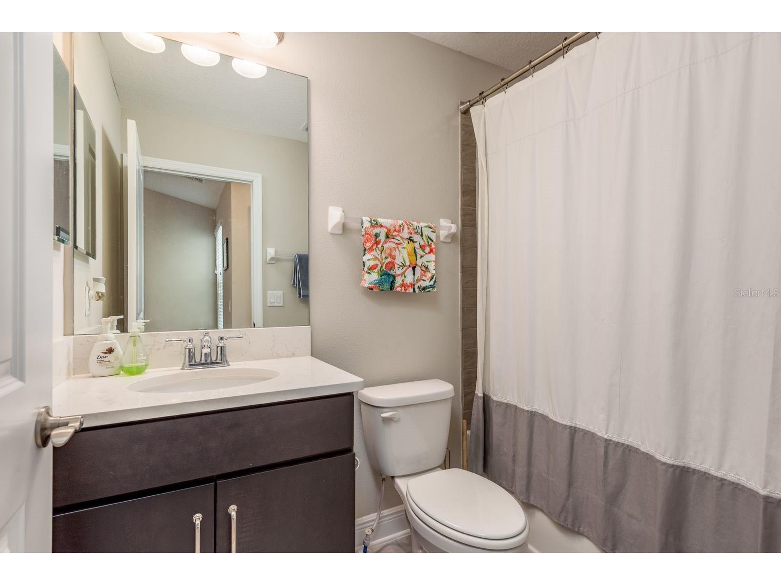 2442 Foggy Creek Circle Clearwater FL 33764 TB8483015 image26