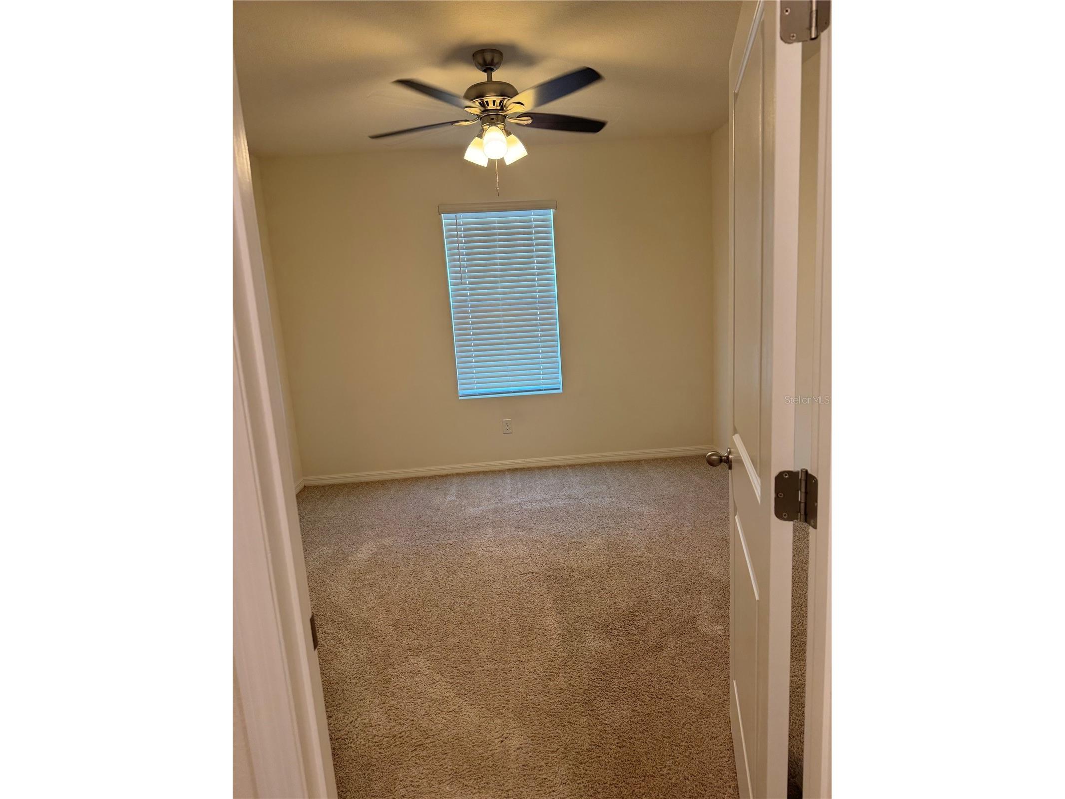 2442 Knight Island Drive Brandon FL 33511 TB8509709 image4