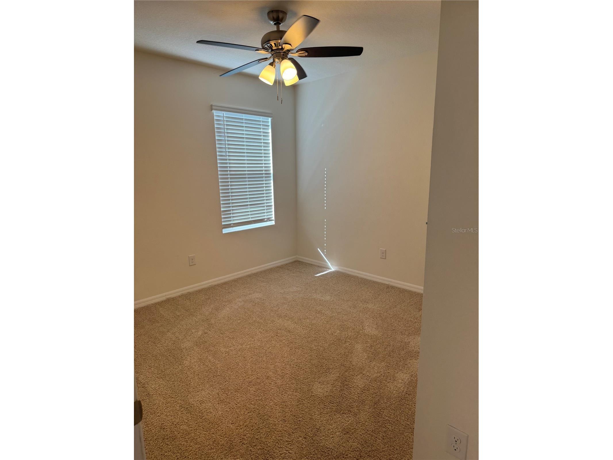 2442 Knight Island Drive Brandon FL 33511 TB8509709 image8