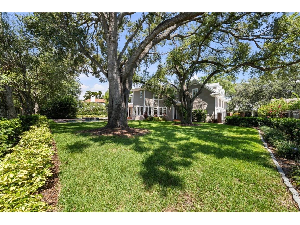 2442 W Prospect Road Tampa FL 33629 TB8413753 image45