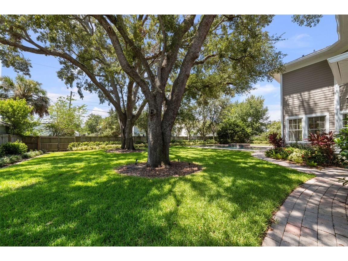 2442 W Prospect Road Tampa FL 33629 TB8413753 image47