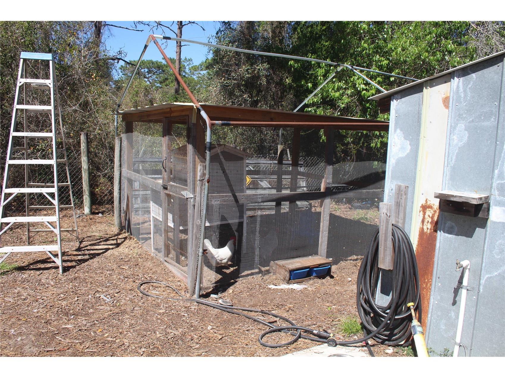 24427 Wild Turkey Road Paisley FL 32767 G5109613 image27