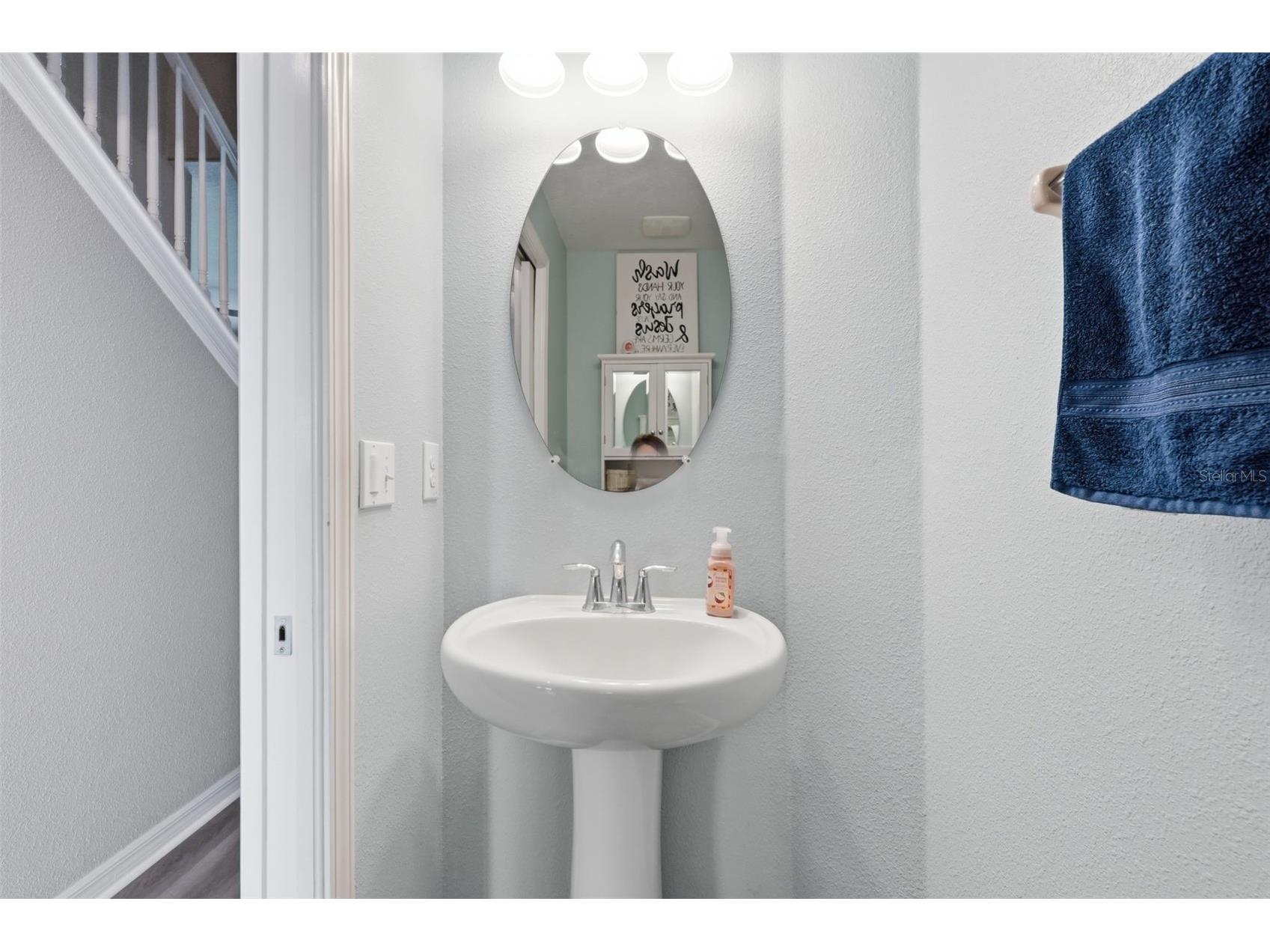 2443 Dovesong Trace Drive Ruskin FL 33570 TB8481978 image31