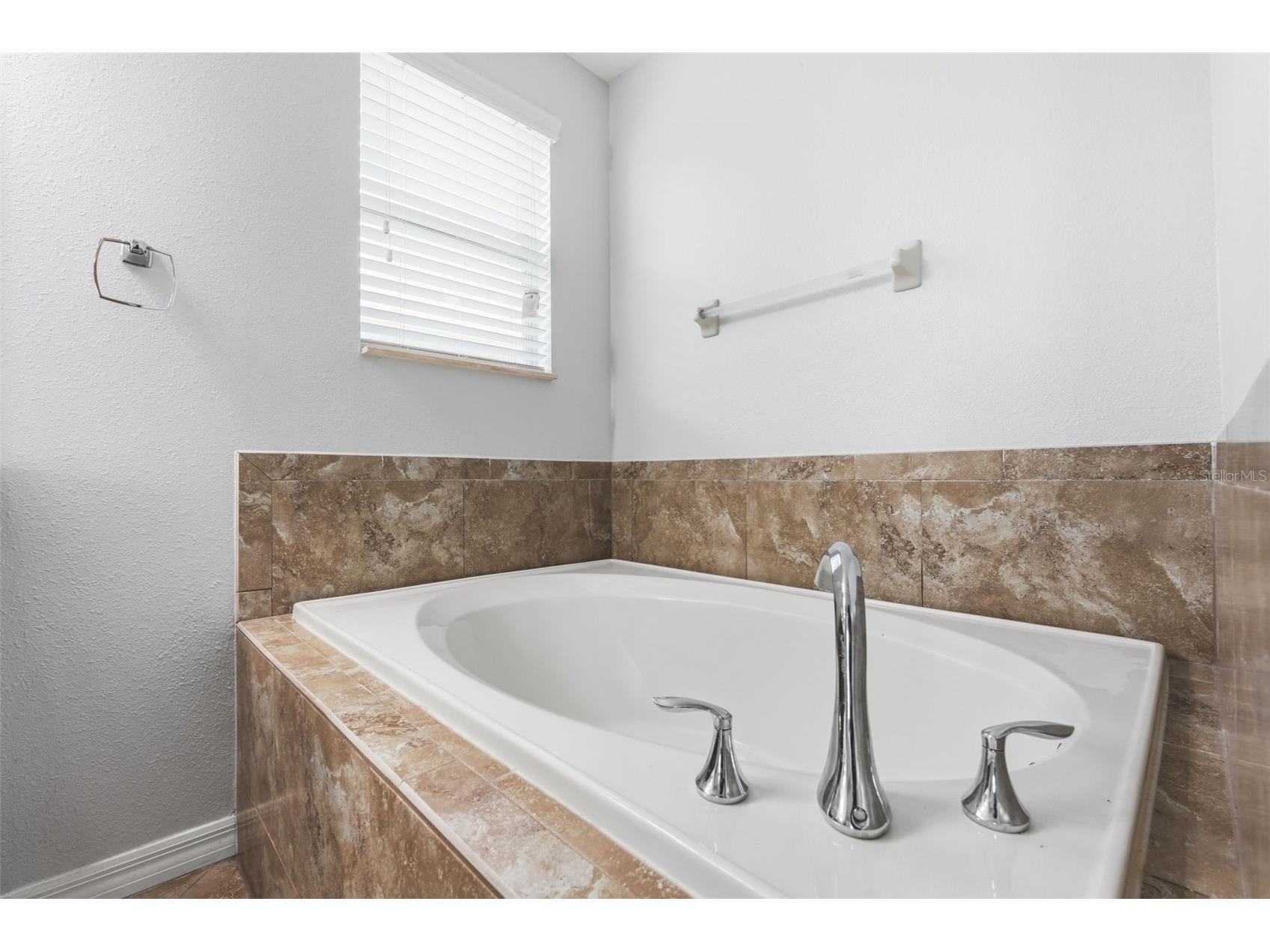 2443 Dovesong Trace Drive Ruskin FL 33570 TB8481978 image39