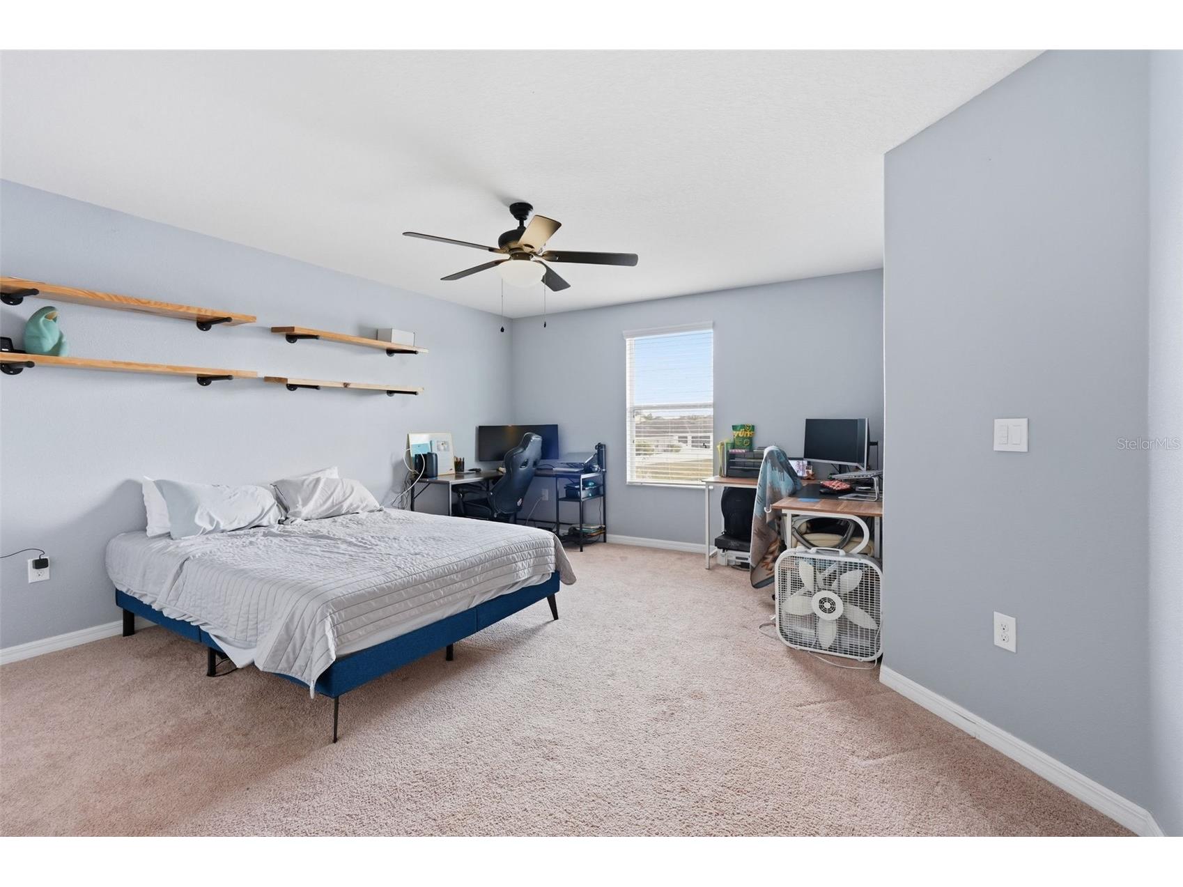 2443 Dovesong Trace Drive Ruskin FL 33570 TB8481978 image44