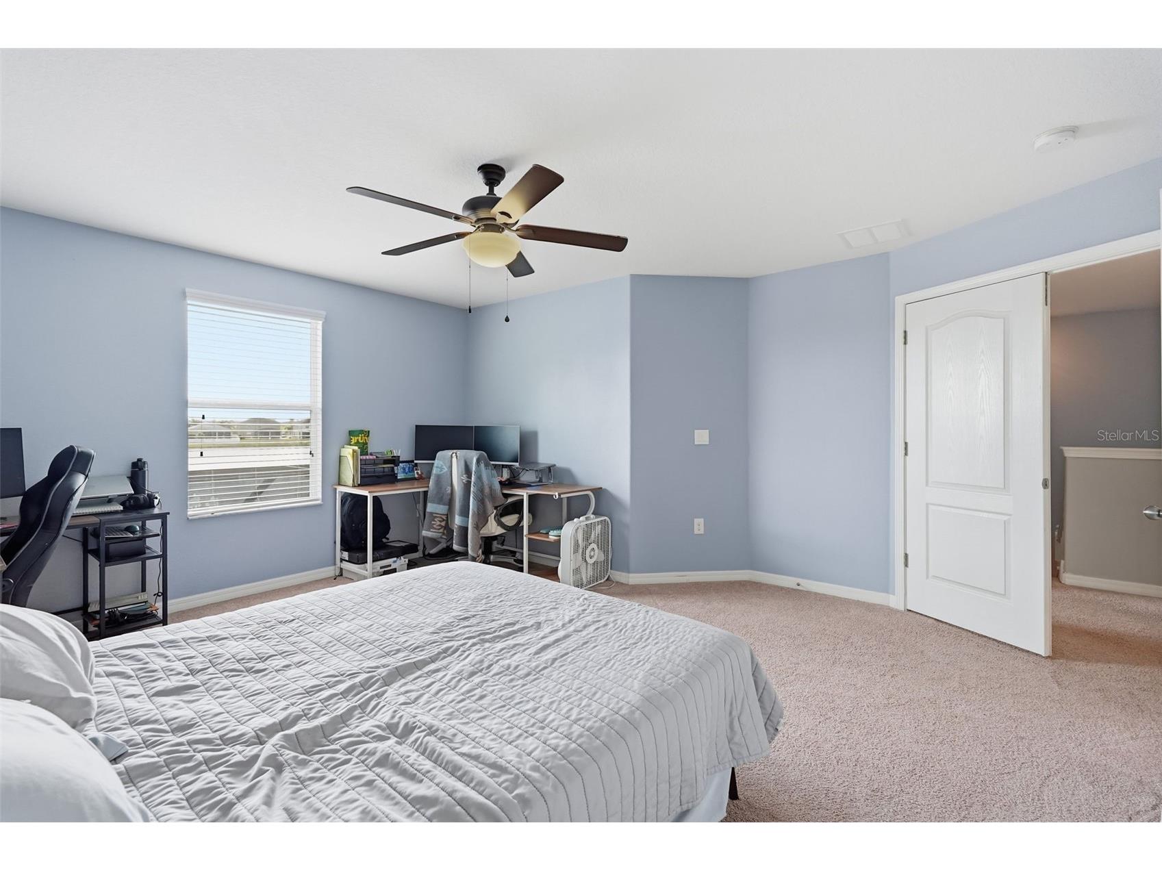 2443 Dovesong Trace Drive Ruskin FL 33570 TB8481978 image46