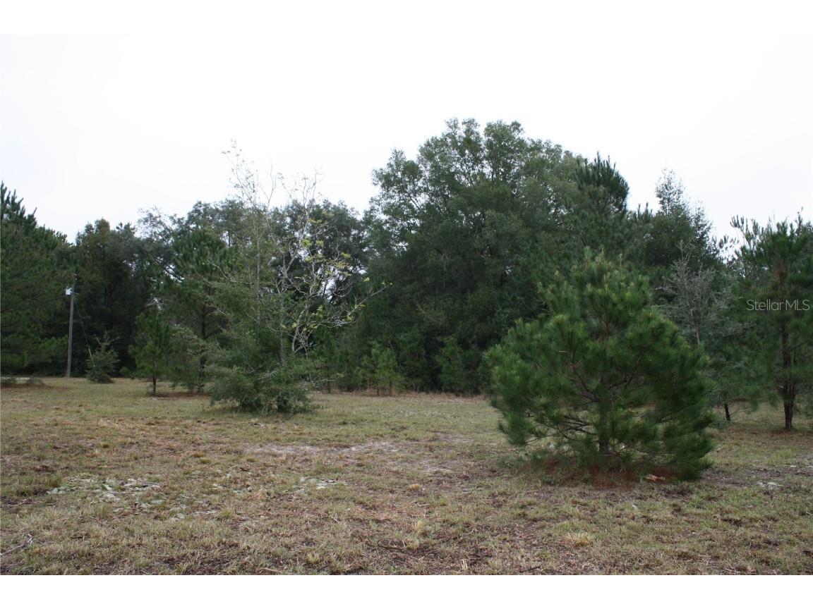 2443 W Highway 316 Citra FL 32113 OM650472 image1