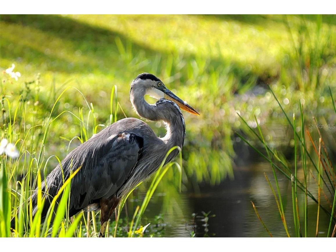 24430 24438 24431 Nicobar Lane Punta Gorda FL 33955 C7517607 image26