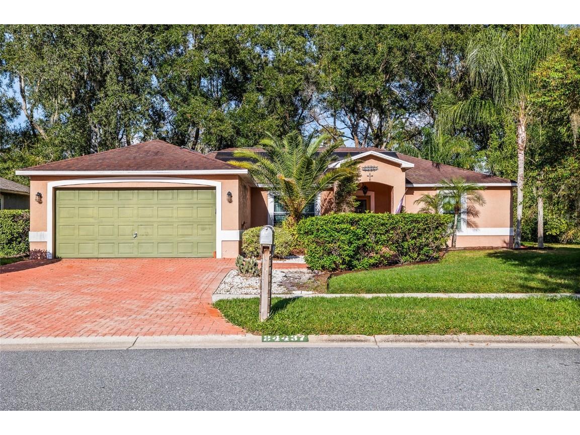 24437 Painter Drive Land O Lakes FL 34639 TB8438623 image1