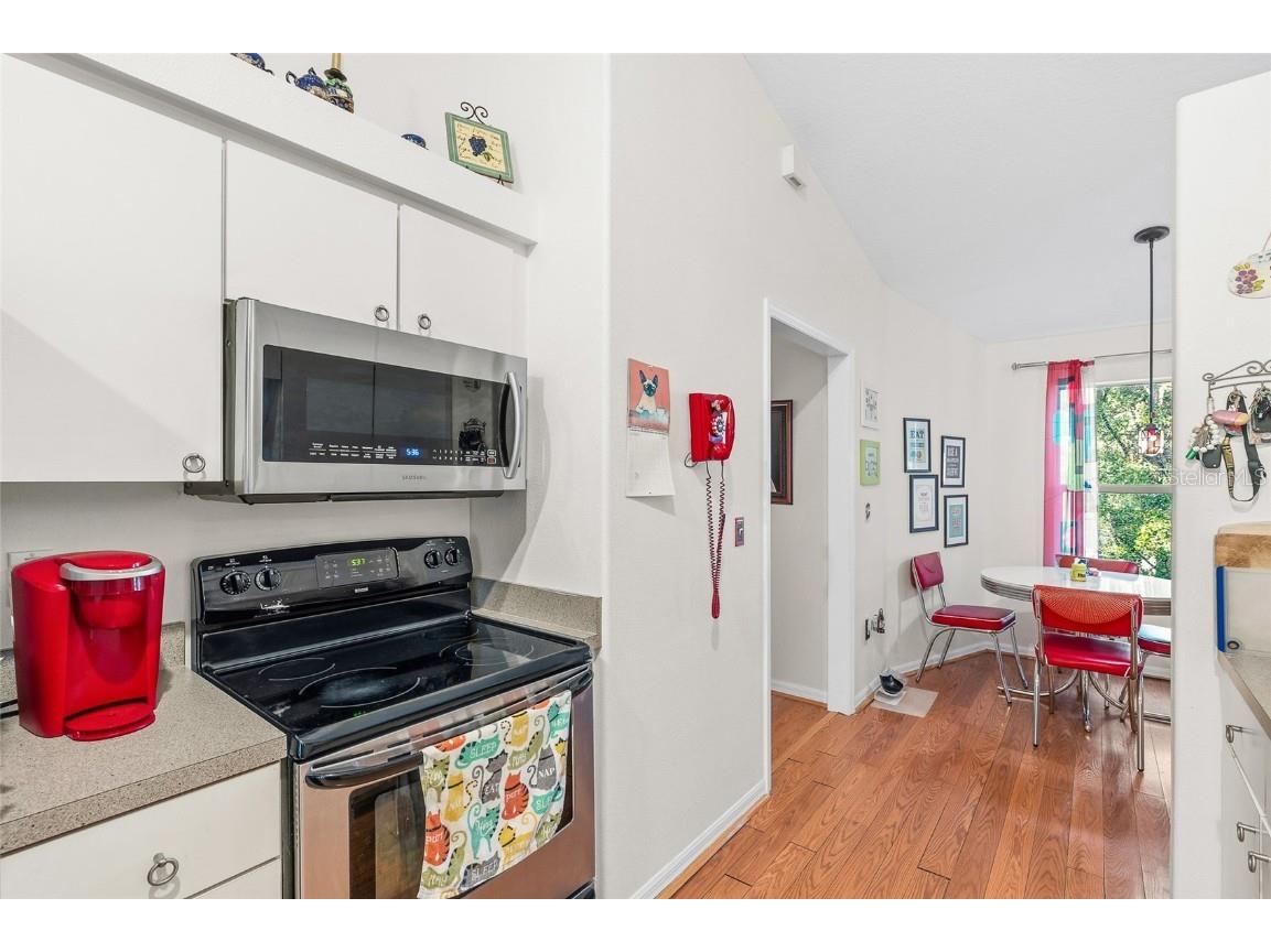 24437 Painter Drive Land O Lakes FL 34639 TB8438623 image13