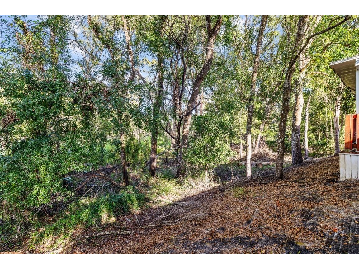 24437 Painter Drive Land O Lakes FL 34639 TB8438623 image21