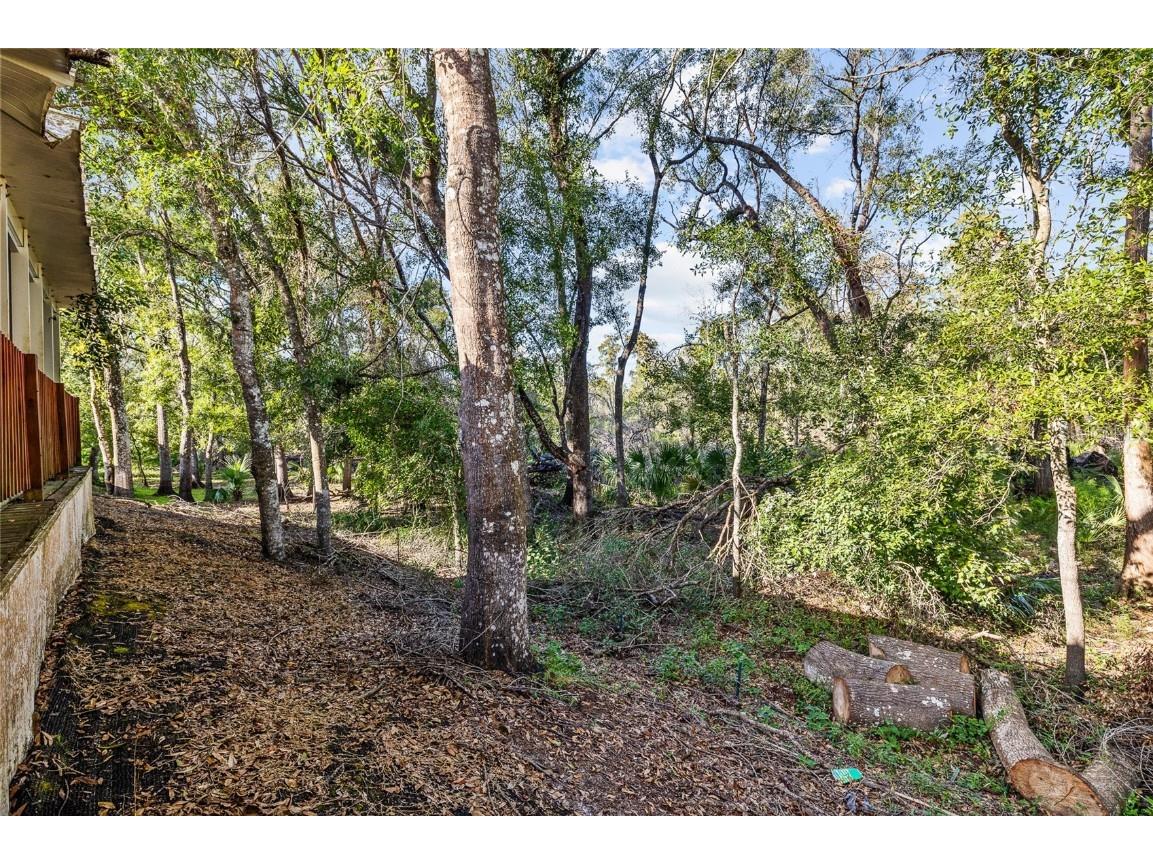 24437 Painter Drive Land O Lakes FL 34639 TB8438623 image22