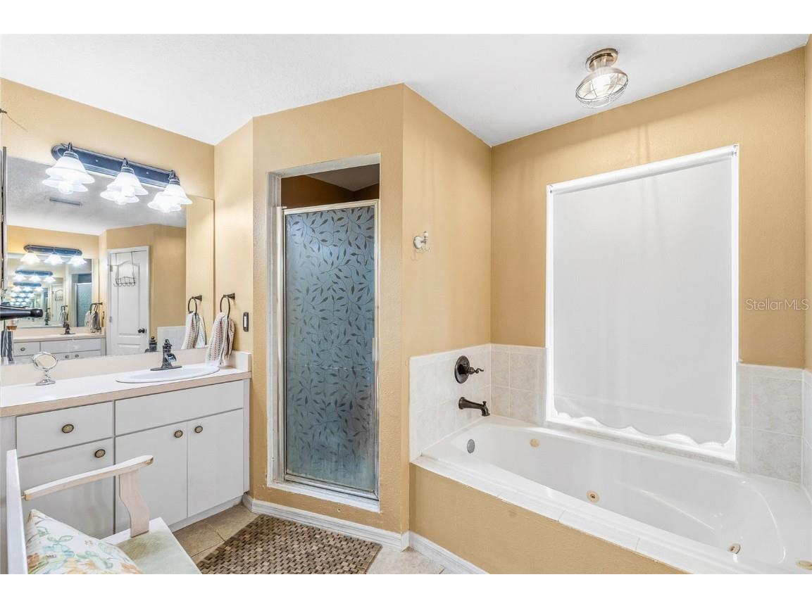 24437 Painter Drive Land O Lakes FL 34639 TB8438623 image27