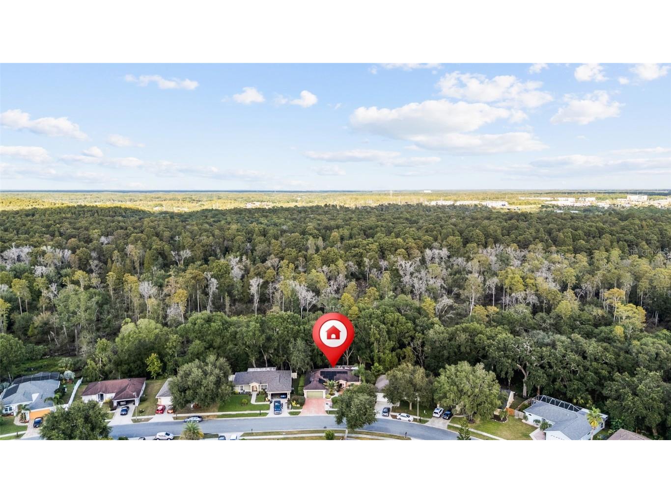 24437 Painter Drive Land O Lakes FL 34639 TB8438623 image38