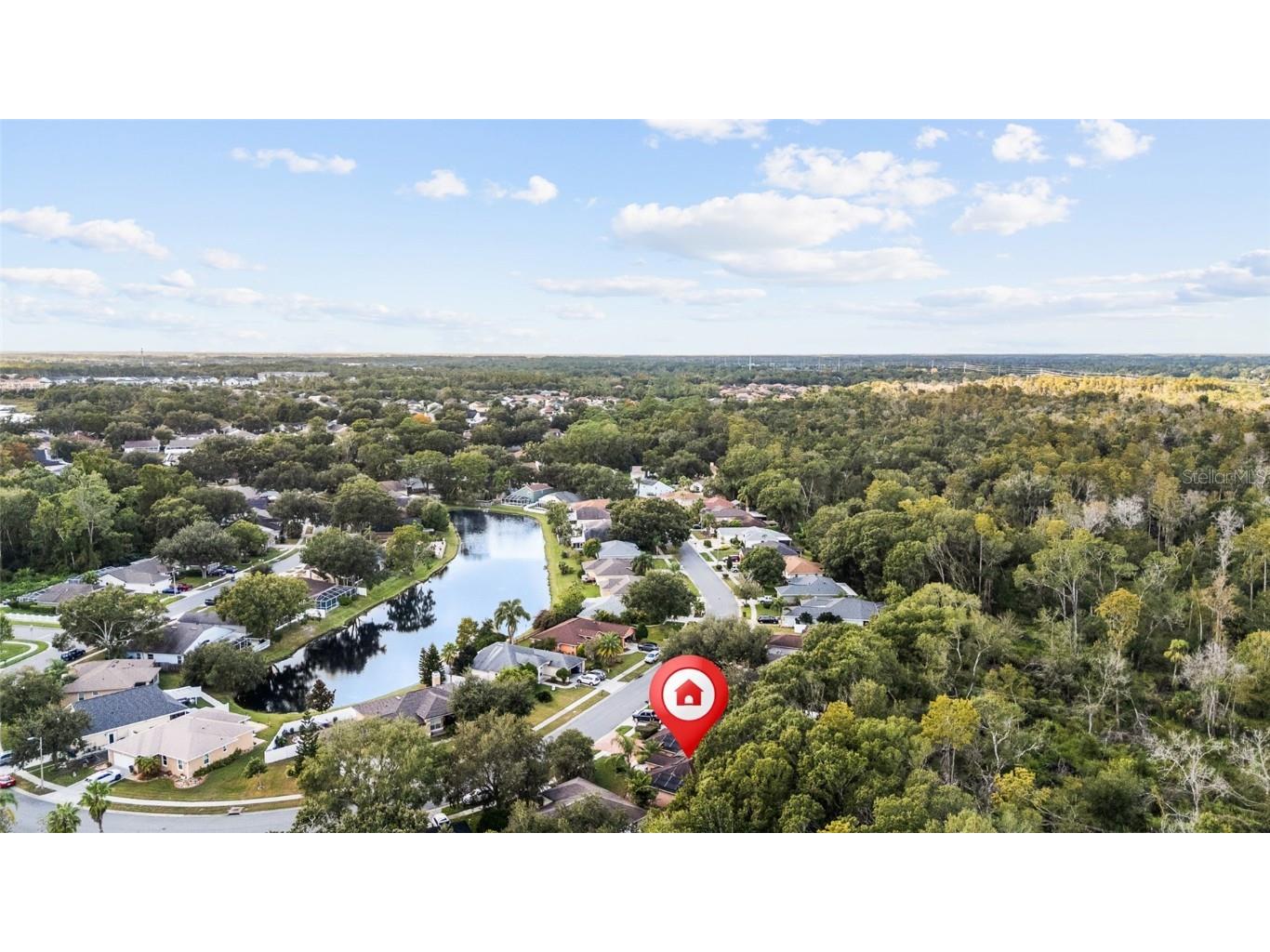 24437 Painter Drive Land O Lakes FL 34639 TB8438623 image39