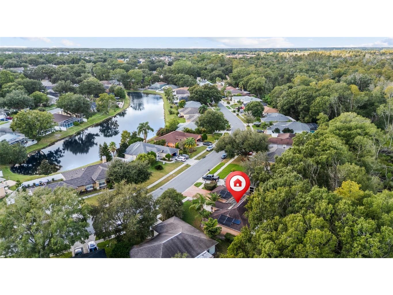 24437 Painter Drive Land O Lakes FL 34639 TB8438623 image40