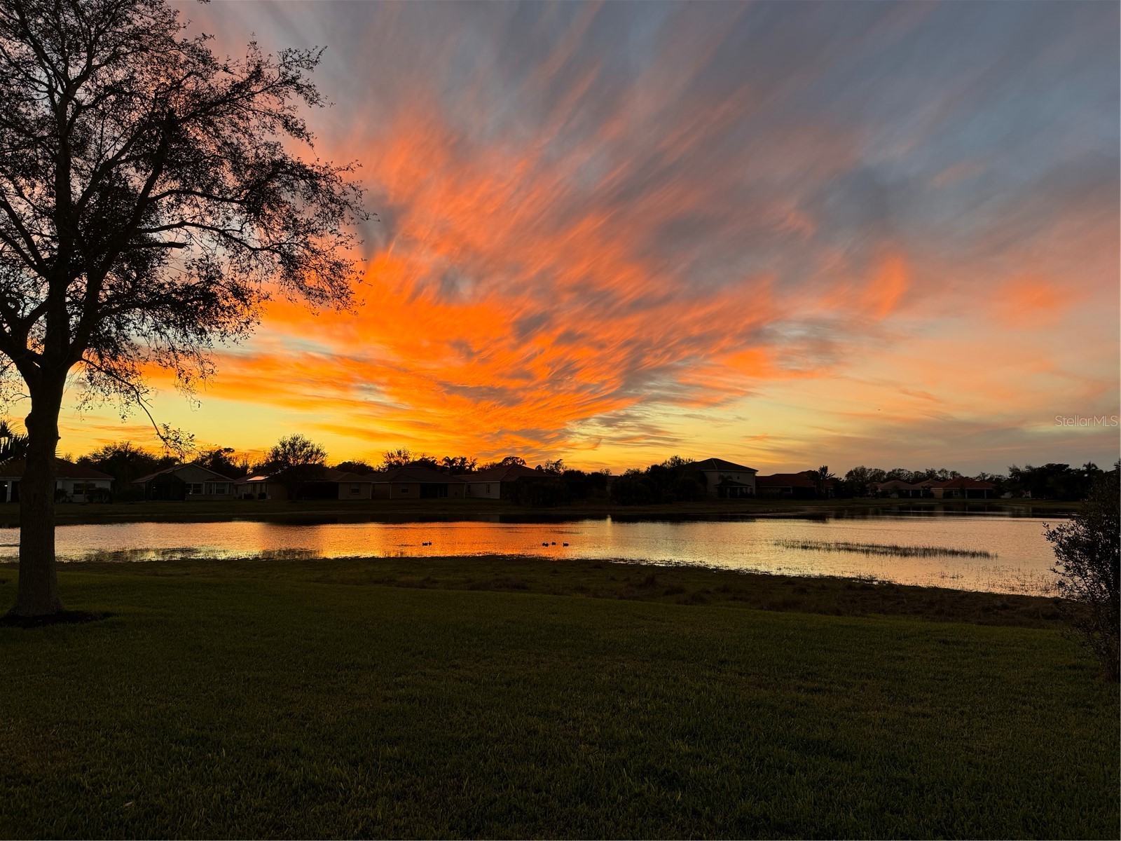 24439 Riverfront Drive Punta Gorda FL 33980 C7523733 image7