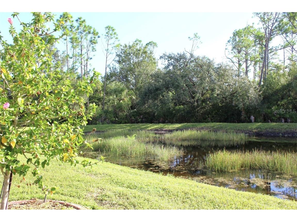 2444 Daisy Drive North Port FL 34289 C7515747 image81