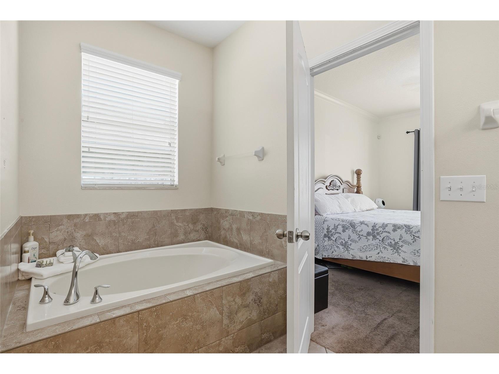 2444 Dakota Rock Drive Ruskin FL 33570 TB8473310 image21