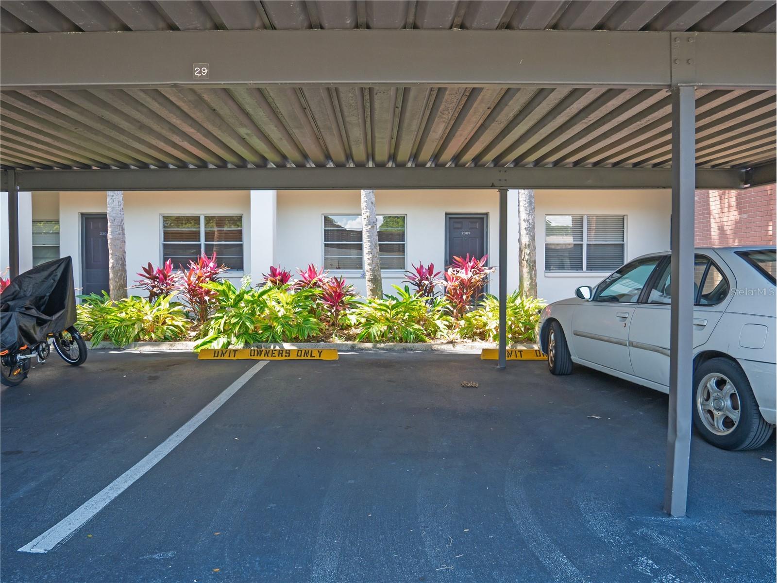 2444 Enterprise Road #29 Clearwater FL 33763 TB8513404 image21