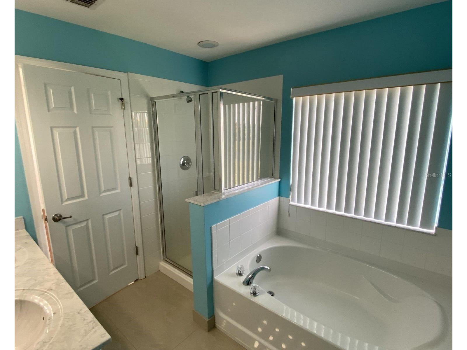 2444 Hassonite Street Kissimmee FL 34744 S5151149 image16