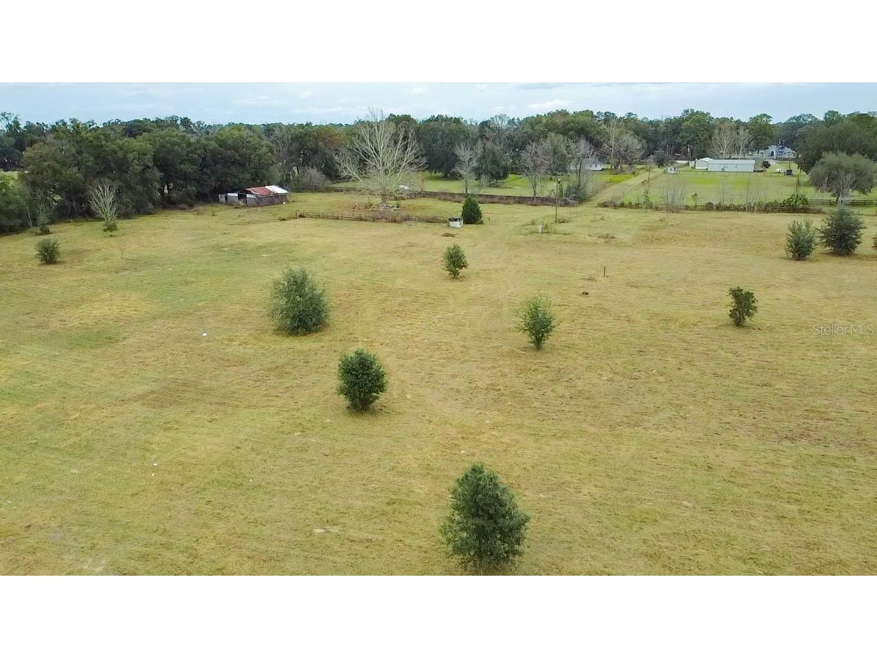 2444 SE 150th Street Summerfield FL 34491 O6172263 image1