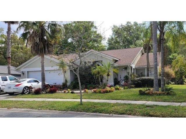 24449 Painter Drive Land O Lakes FL 34639 U8234796 image2