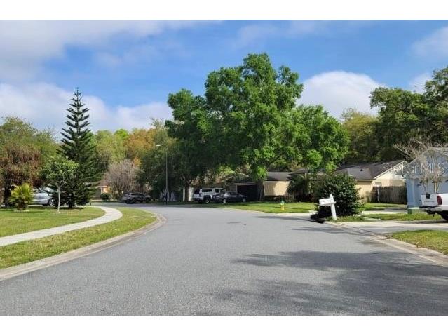 24449 Painter Drive Land O Lakes FL 34639 U8234796 image4