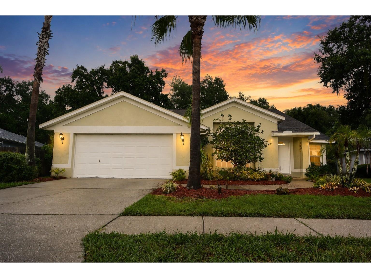 24449 Painter Drive Land O Lakes FL 34639 W7887286 image1