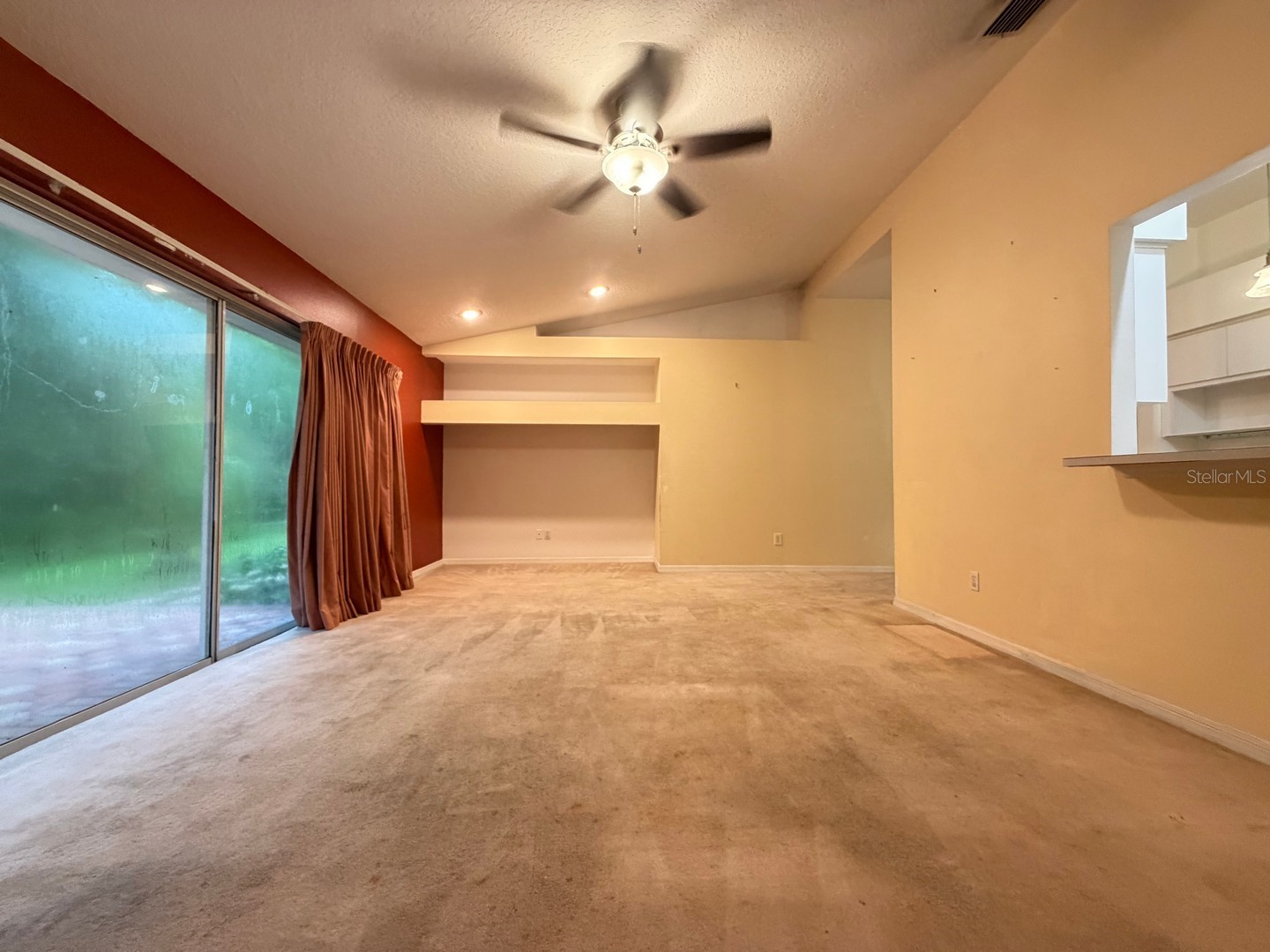 24449 Painter Drive Land O Lakes FL 34639 W7887286 image11