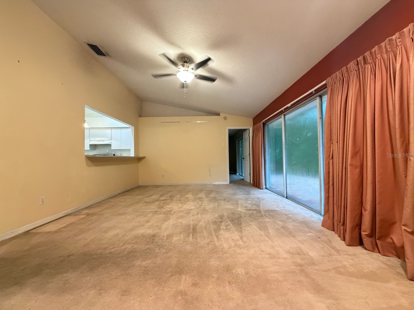 24449 Painter Drive Land O Lakes FL 34639 W7887286 image12