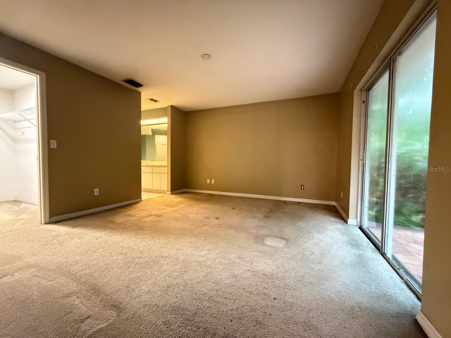 24449 Painter Drive Land O Lakes FL 34639 W7887286 image15