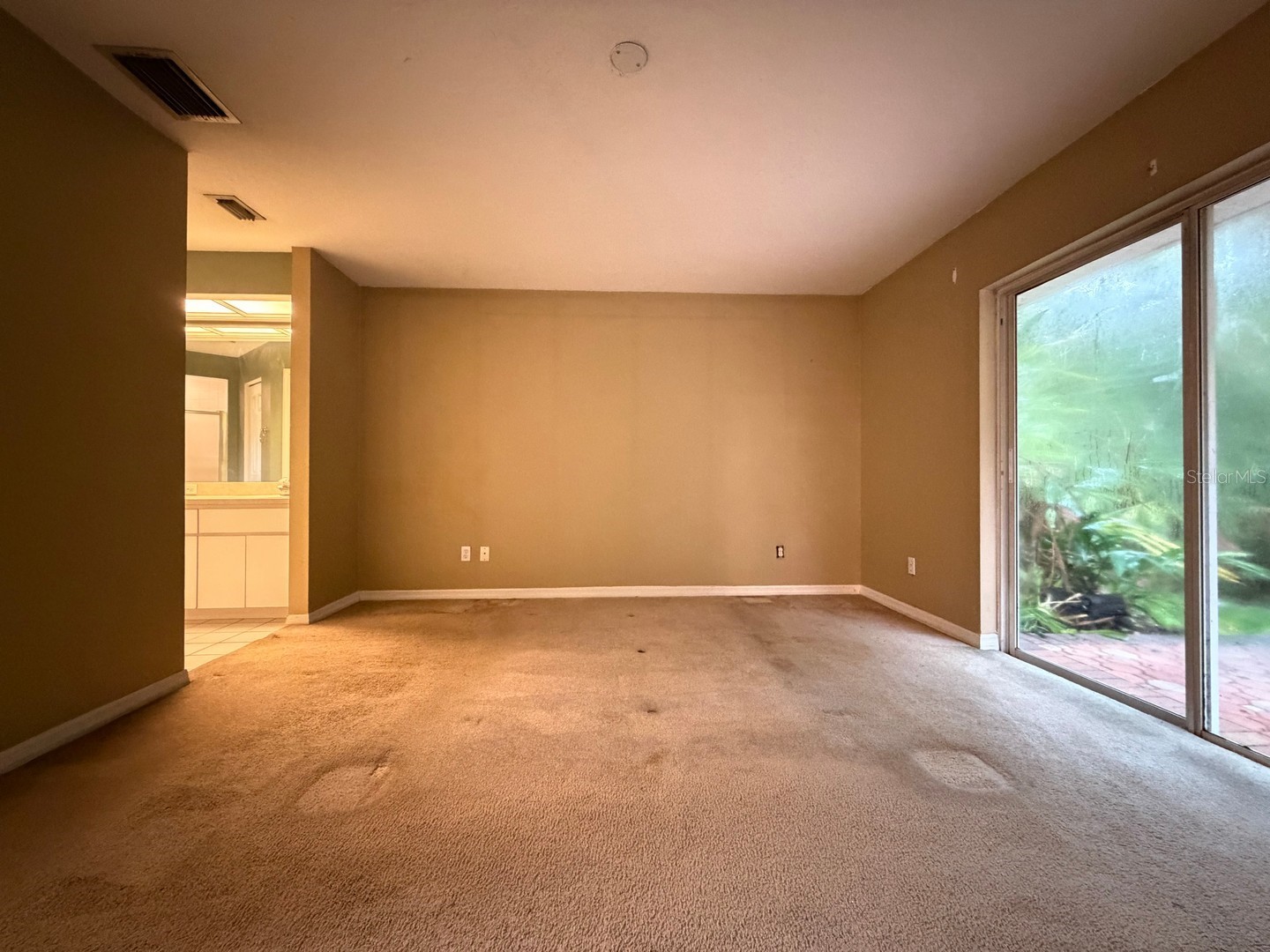24449 Painter Drive Land O Lakes FL 34639 W7887286 image16