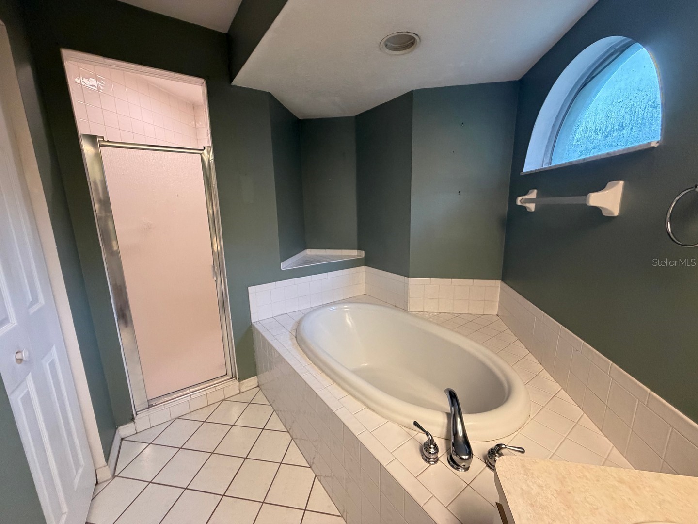 24449 Painter Drive Land O Lakes FL 34639 W7887286 image19