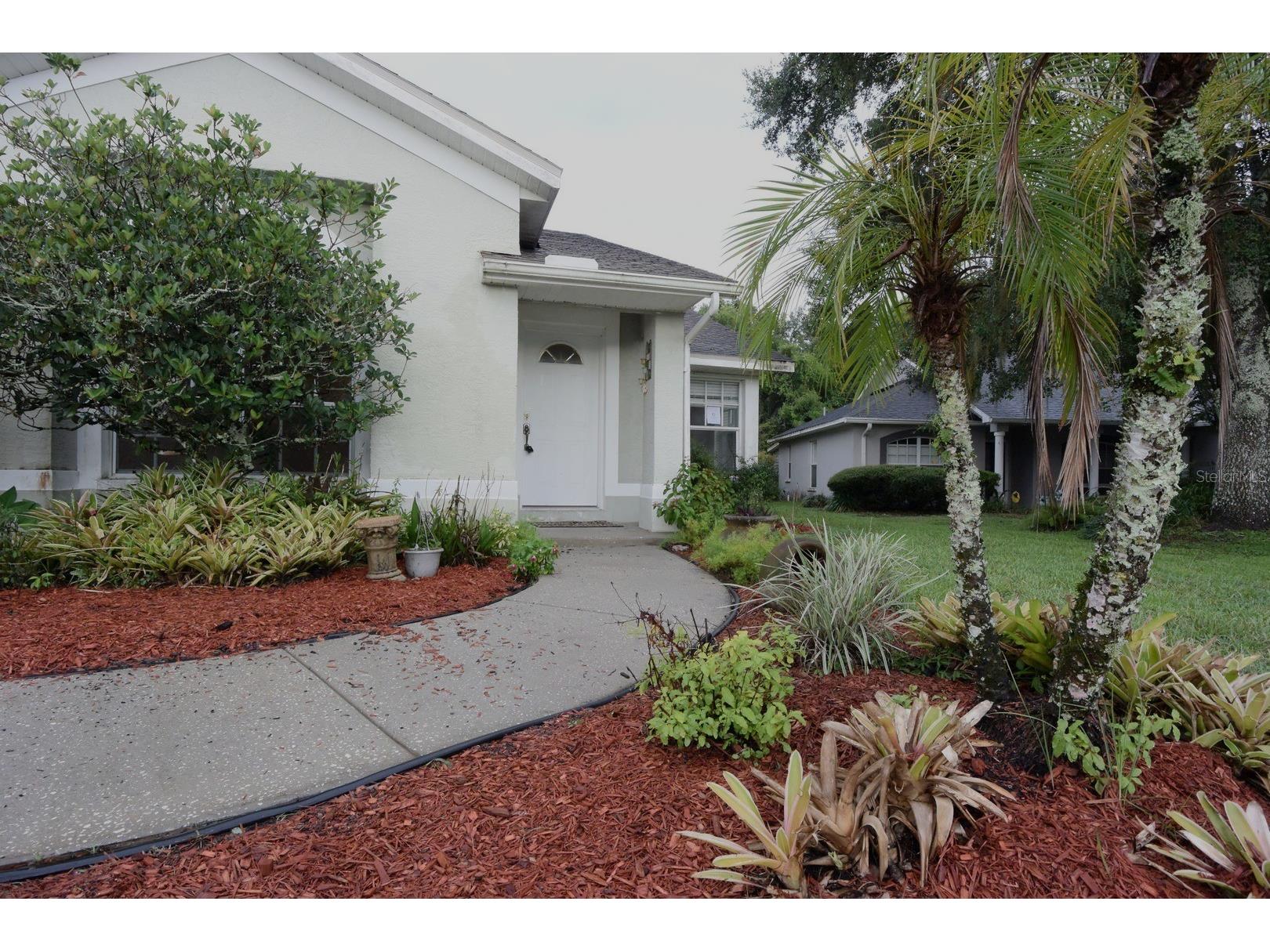 24449 Painter Drive Land O Lakes FL 34639 W7887286 image2