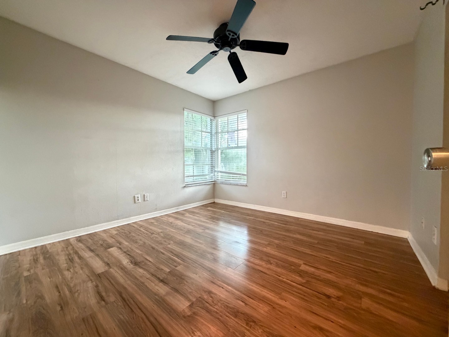 24449 Painter Drive Land O Lakes FL 34639 W7887286 image21