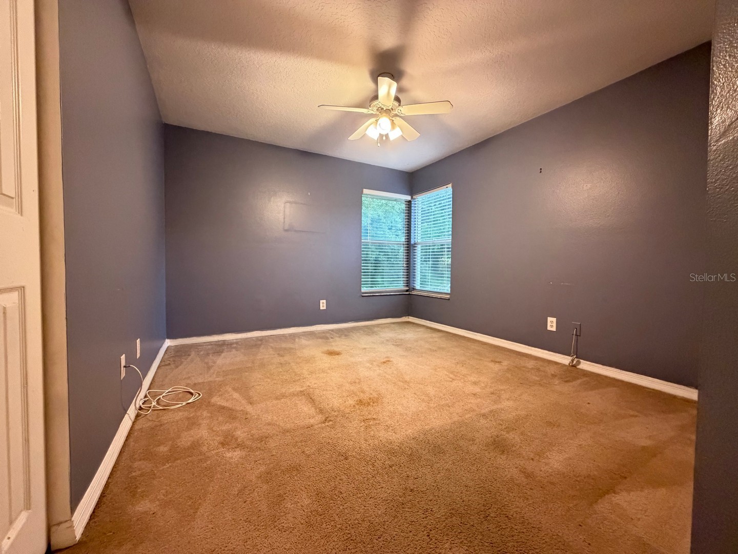 24449 Painter Drive Land O Lakes FL 34639 W7887286 image25