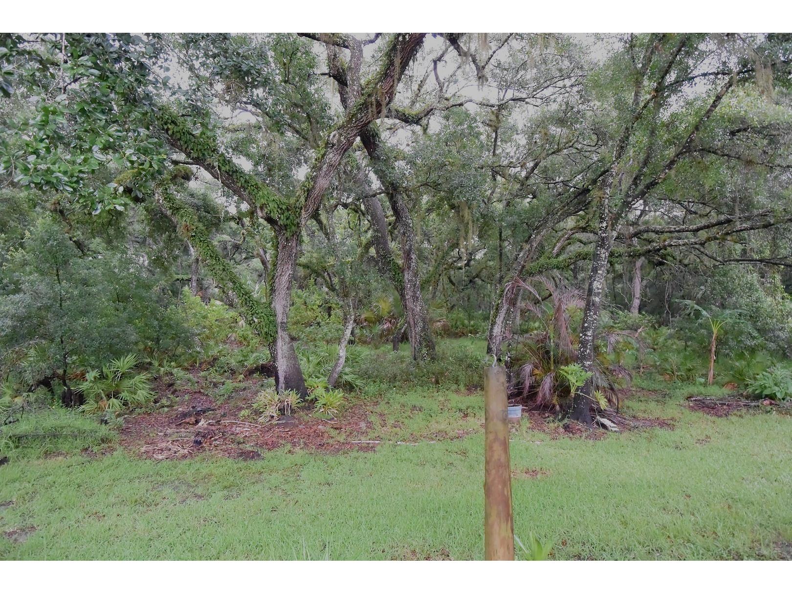 24449 Painter Drive Land O Lakes FL 34639 W7887286 image31