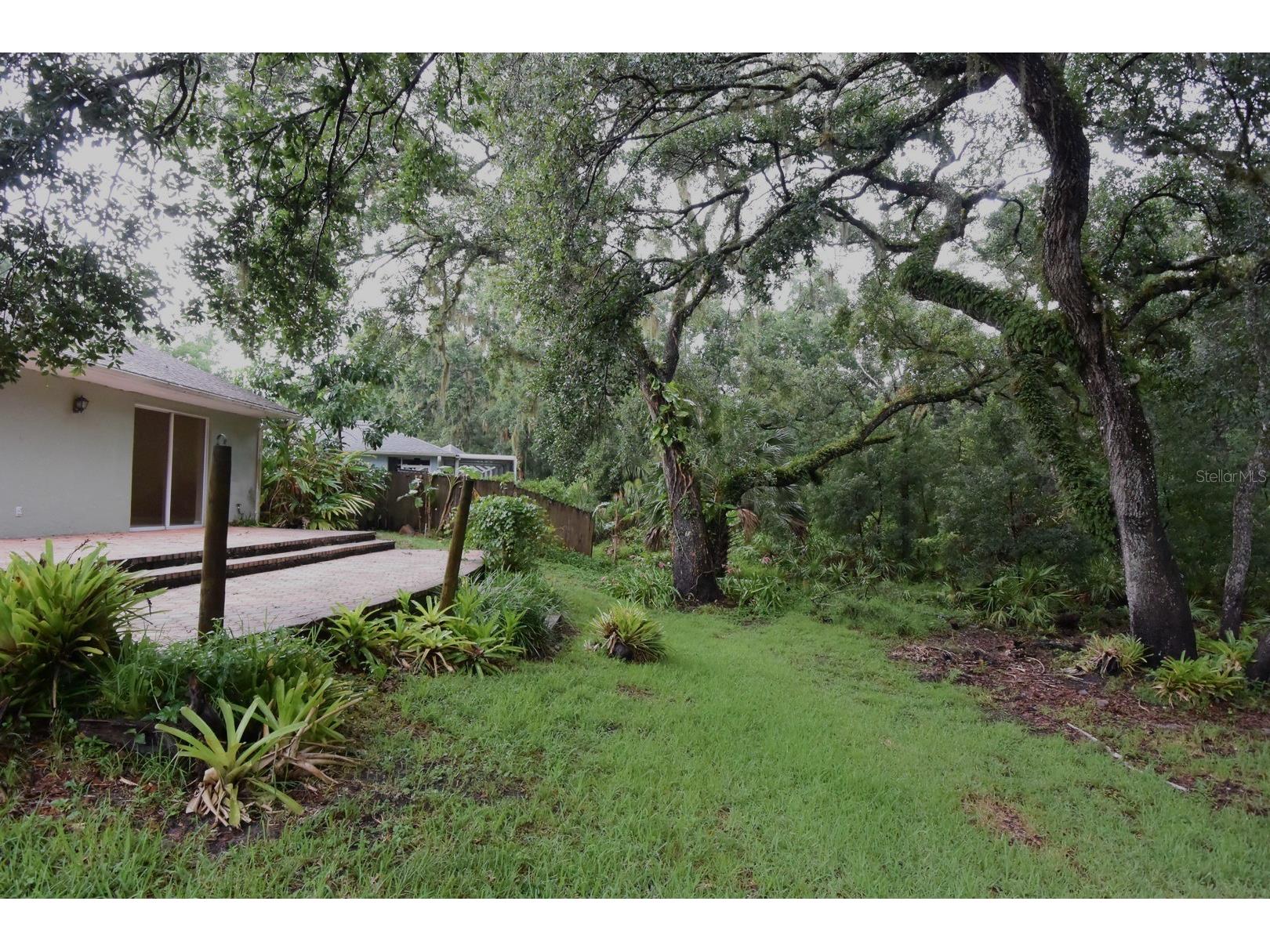 24449 Painter Drive Land O Lakes FL 34639 W7887286 image35