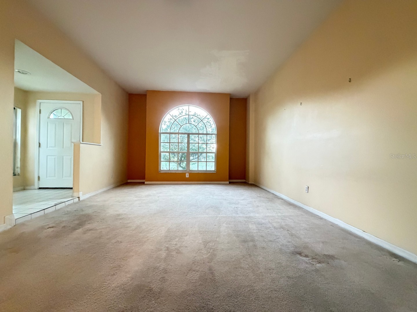 24449 Painter Drive Land O Lakes FL 34639 W7887286 image5