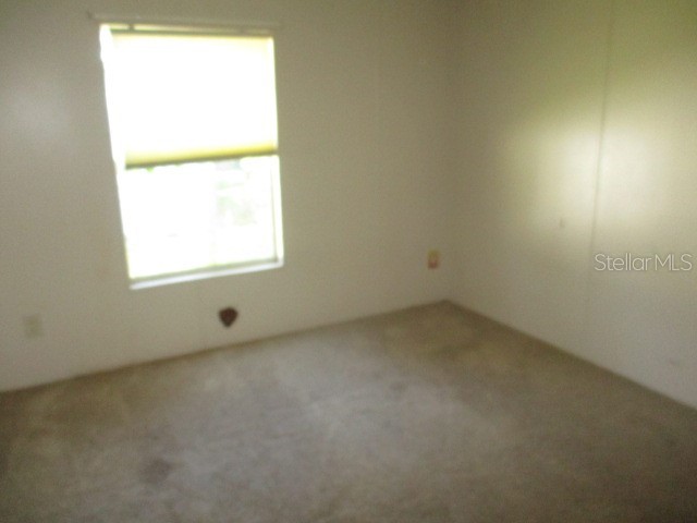 2445 Corvilla Drive Zephyrhills FL 33540 TB8431165 image20