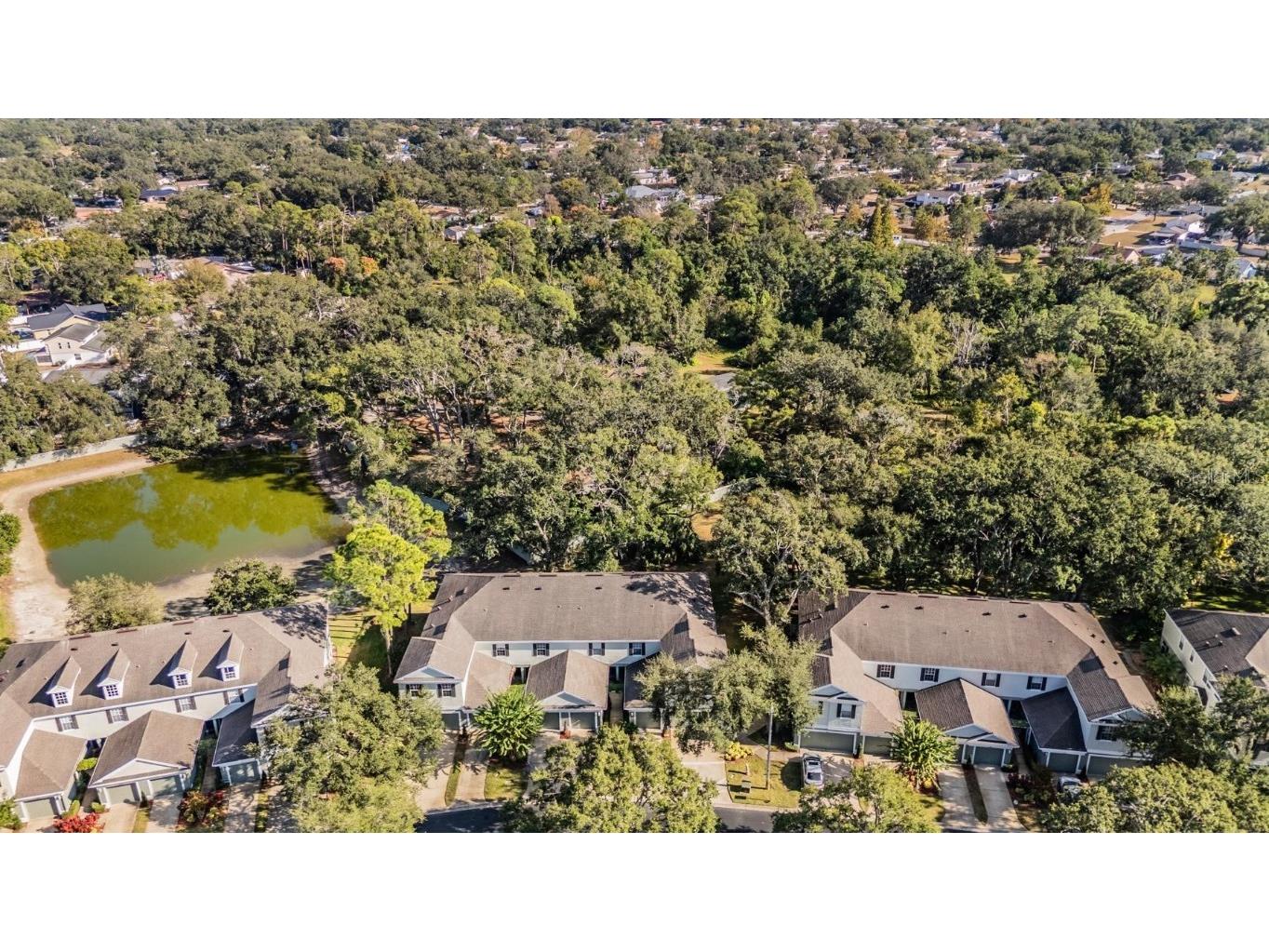 2445 Earlswood Court Brandon FL 33510 TB8446053 image33