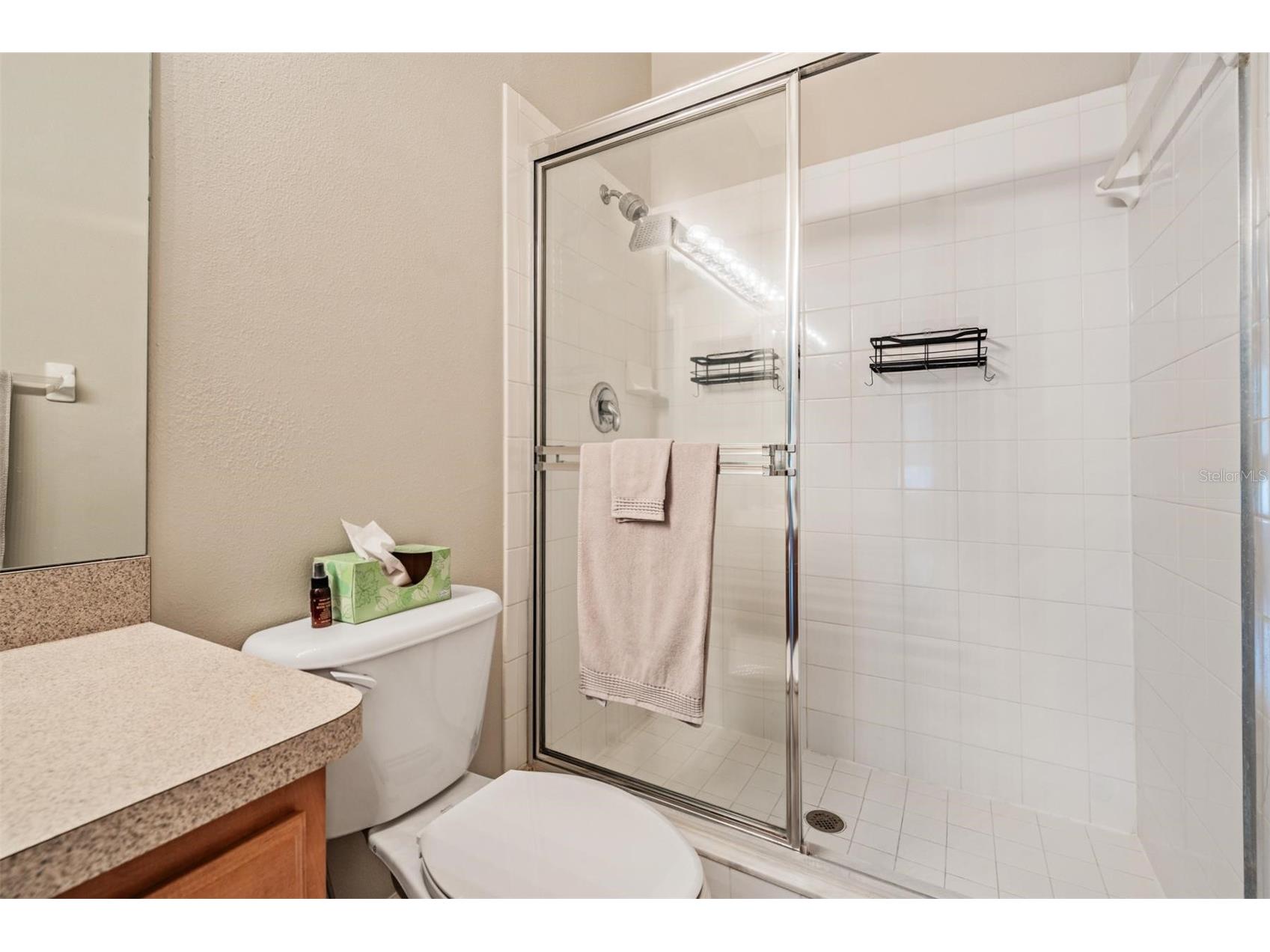 2445 Earlswood Court Brandon FL 33510 TB8474789 image13