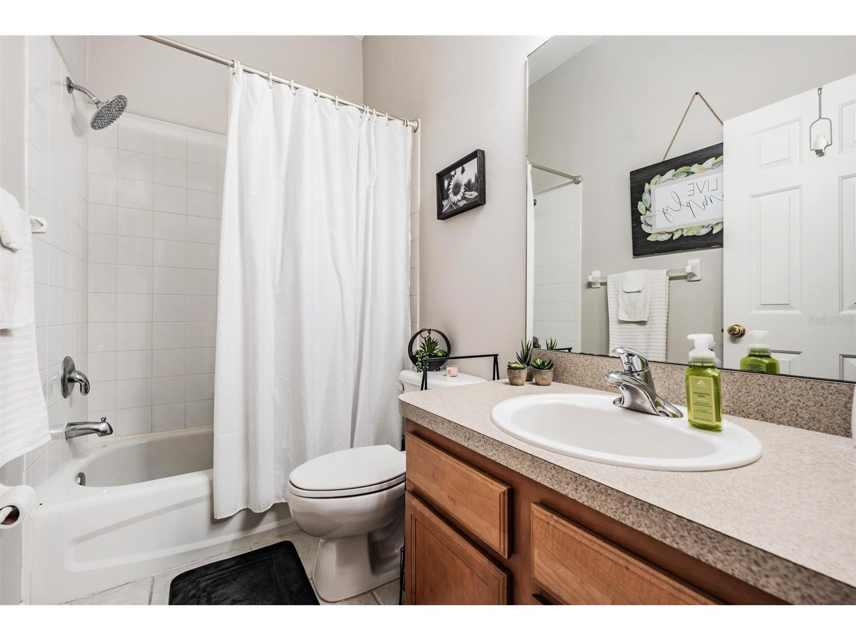 2445 Earlswood Court Brandon FL 33510 TB8474789 image8