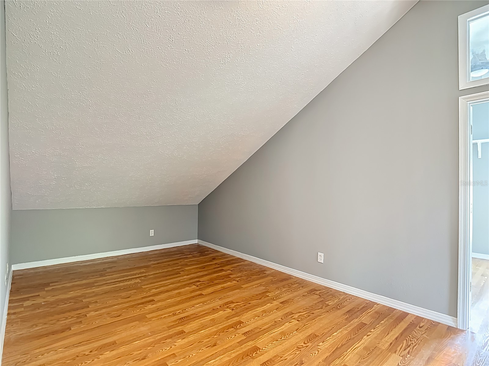 2445 Glenview Drive Land O Lakes FL 34639 TB8492684 image24