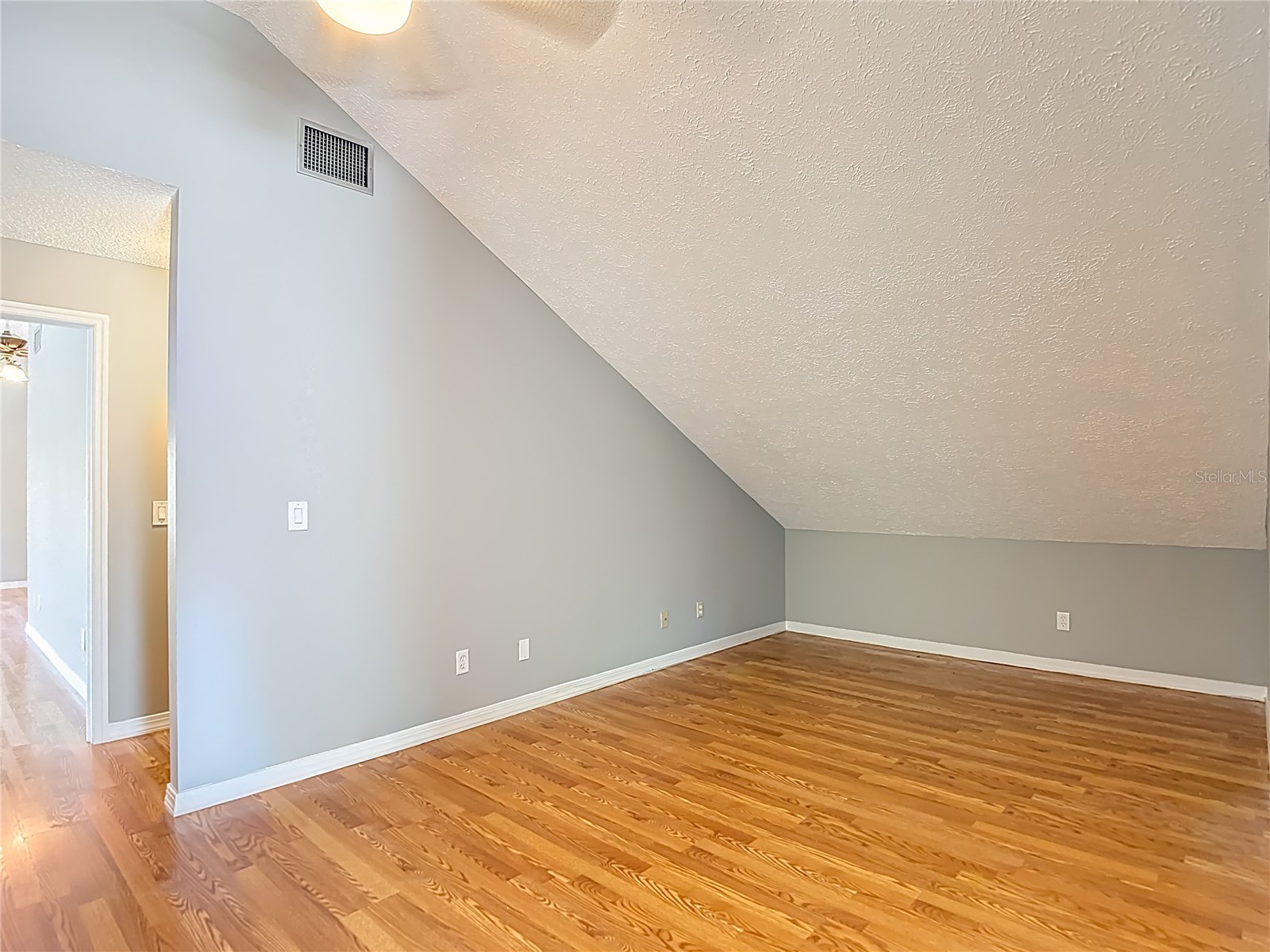 2445 Glenview Drive Land O Lakes FL 34639 TB8492684 image25